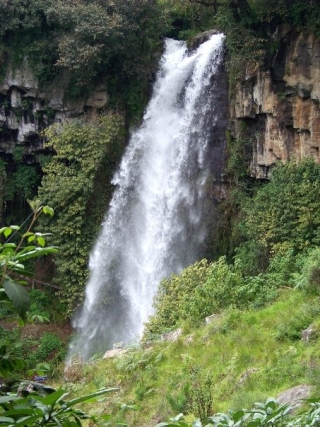 Alrededoternera Pico de Orizaba
